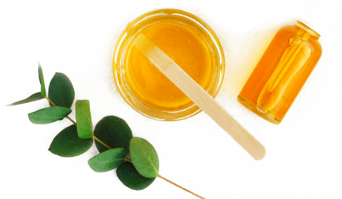 eucalyptus oil